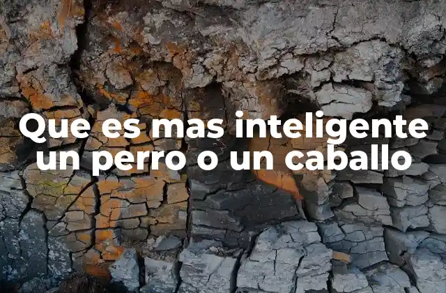 Que es mas Inteligente un Perro o un Caballo