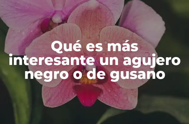 Qué es Más Interesante un Agujero Negro o de Gusano