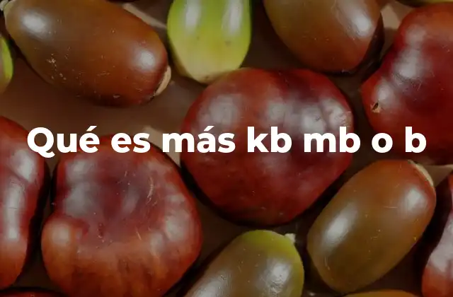 Qué es Más Kb Mb o B