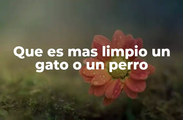 Que es mas Limpio un Gato o un Perro