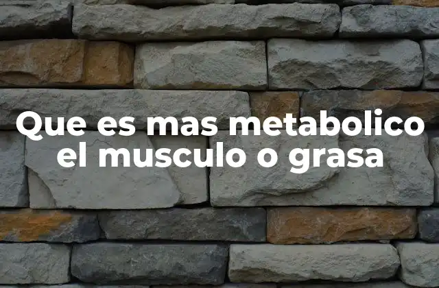 Que es mas Metabolico el Musculo o Grasa