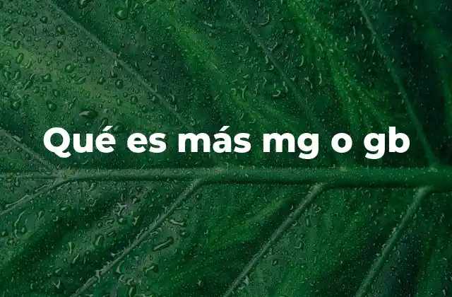 Qué es Más Mg o Gb