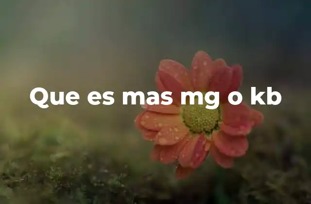 Que es mas Mg o Kb