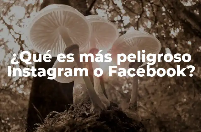 ¿qué es Más Peligroso Instagram o Facebook?