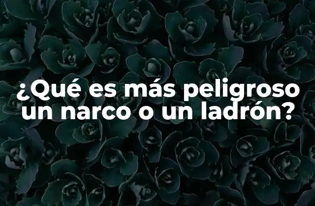 ¿qué es Más Peligroso un Narco o un Ladrón?