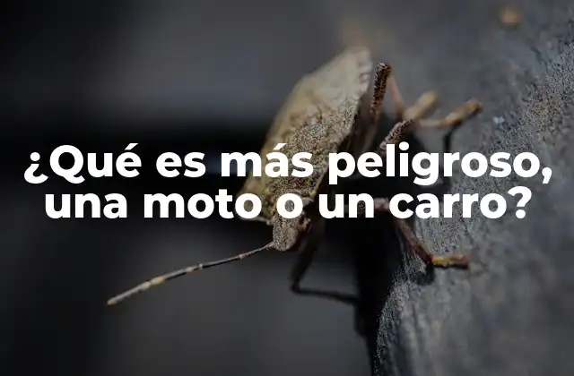 ¿qué es Más Peligroso, una Moto o un Carro? 2 Factores que influyen en la seguridad de los vehículos