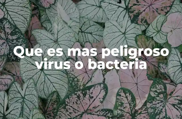 Que es mas Peligroso Virus o Bacteria