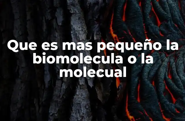 Moléculas y biomoléculas: una comparación desde la química básica
