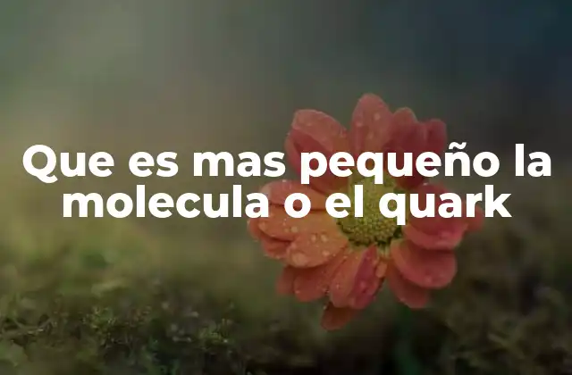 Que es mas Pequeño la Molecula o el Quark
