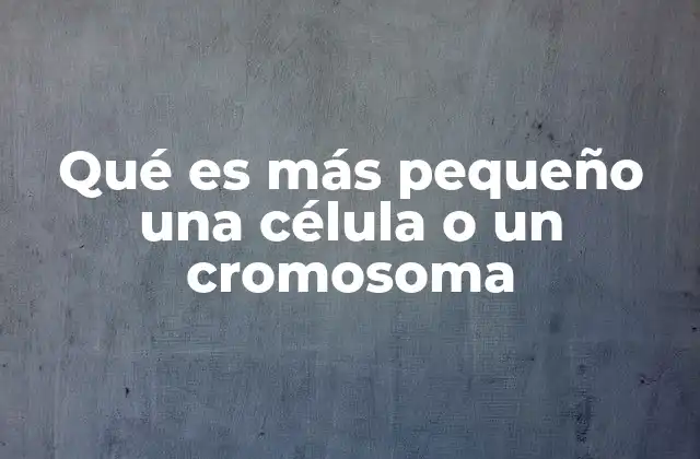 Qué es Más Pequeño una Célula o un Cromosoma