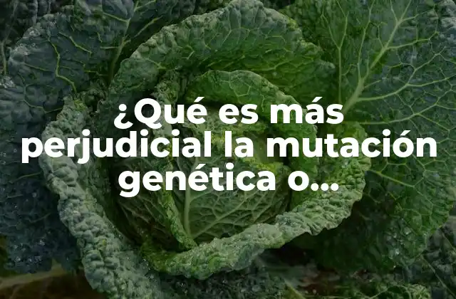 ¿qué es Más Perjudicial la Mutación Genética o Cromosómica?