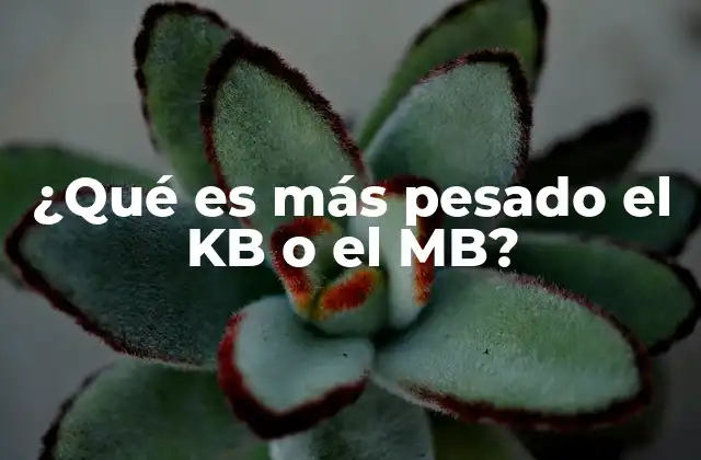 ¿qué es Más Pesado el Kb o el Mb?