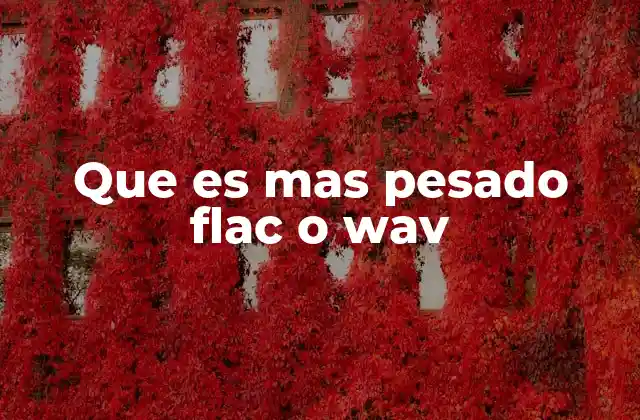 Que es mas Pesado Flac o Wav