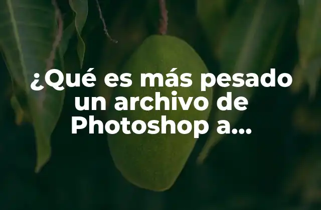 ¿qué es Más Pesado un Archivo de Photoshop a Illustrator?