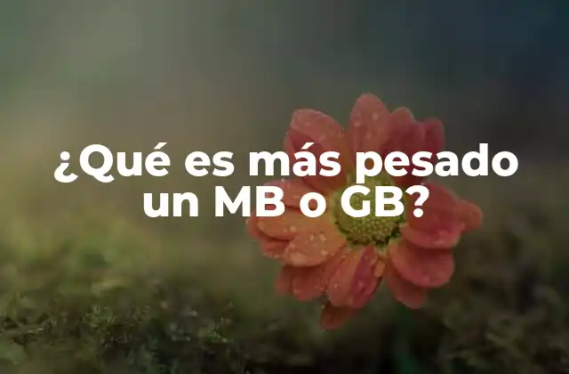 ¿qué es Más Pesado un Mb o Gb?