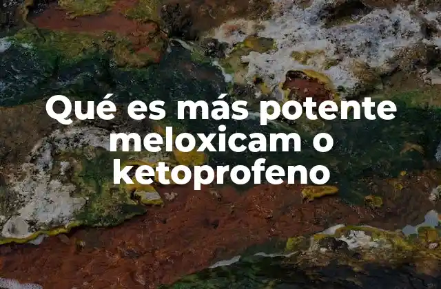 Qué es Más Potente Meloxicam o Ketoprofeno 2 Diferencias entre meloxicam y ketoprofeno