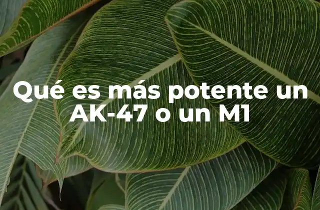 Qué es Más Potente un Ak-47 o un M1