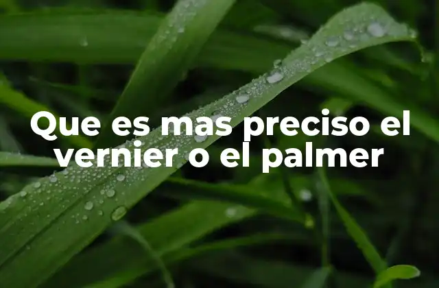 Que es mas Preciso el Vernier o el Palmer