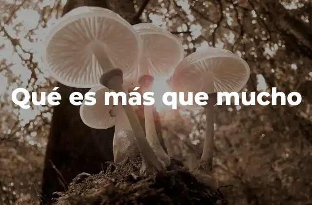 Qué es Más que Mucho