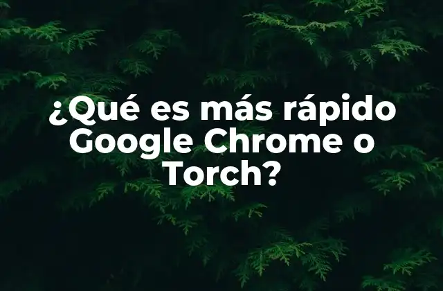 ¿qué es Más Rápido Google Chrome o Torch? 2 Diferencias clave entre Google Chrome y Torch