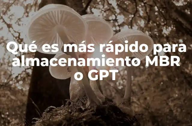 Qué es Más Rápido para Almacenamiento Mbr o Gpt