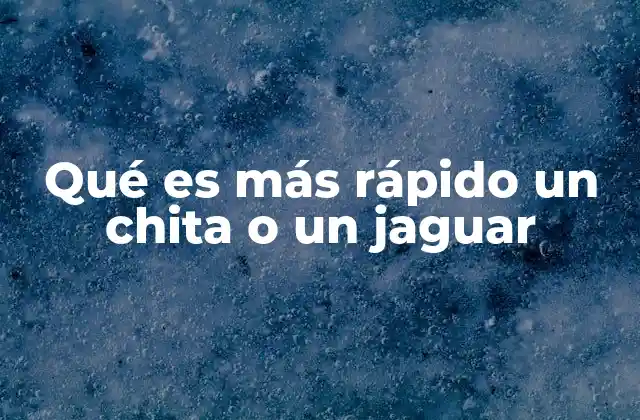 Qué es Más Rápido un Chita o un Jaguar