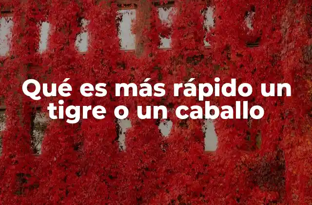 Qué es Más Rápido un Tigre o un Caballo