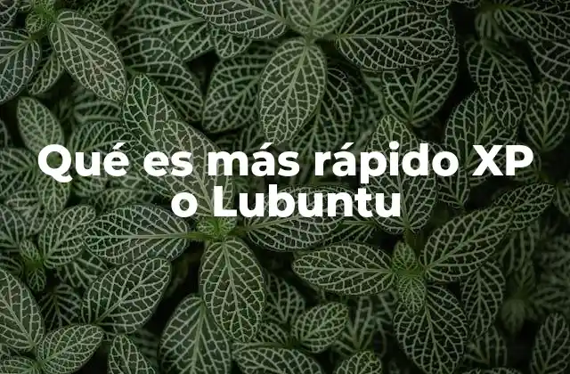 Comparando el rendimiento en hardware antiguo