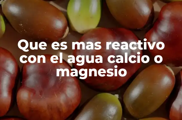 Que es mas Reactivo con el Agua Calcio o Magnesio