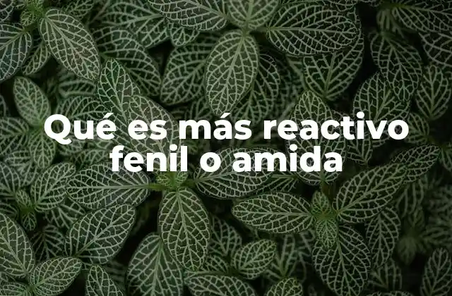 Qué es Más Reactivo Fenil o Amida