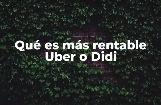 Qué es Más Rentable Uber o Didi 2 Factores que influyen en la rentabilidad de las plataformas de transporte