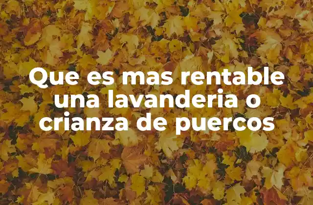 Factores que influyen en la rentabilidad de ambos negocios