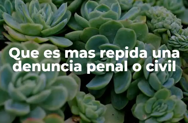 La diferencia en la velocidad de los procesos legales