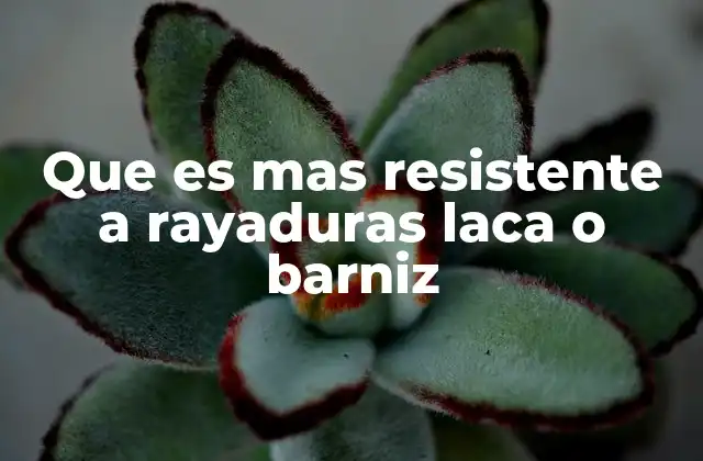 Que es mas Resistente a Rayaduras Laca o Barniz