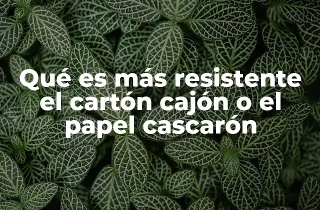 Qué es Más Resistente el Cartón Cajón o el Papel Cascarón