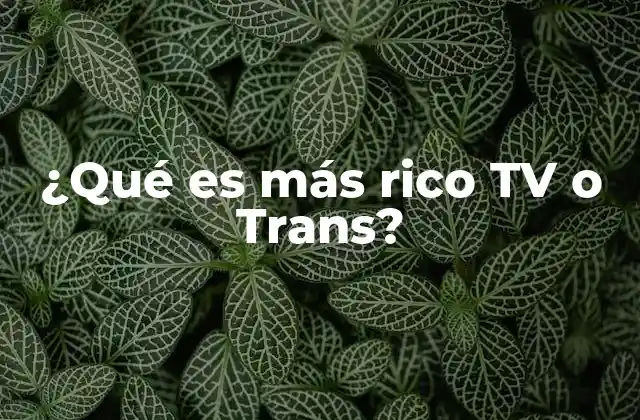 ¿qué es Más Rico Tv o Trans? 2 La evolución de la riqueza en el entretenimiento digital