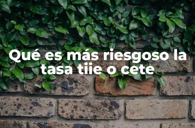 Qué es Más Riesgoso la Tasa Tiie o Cete 2 Comparativa entre los riesgos de la TIIE y el Cete en el contexto del mercado financiero mexicano