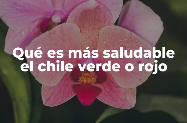 Qué es Más Saludable el Chile Verde o Rojo