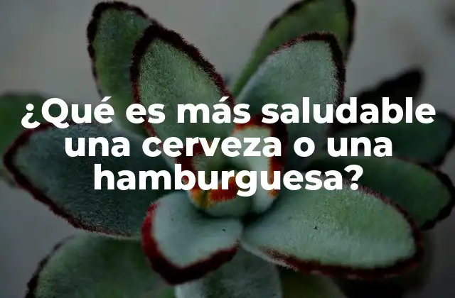 ¿qué es Más Saludable una Cerveza o una Hamburguesa?