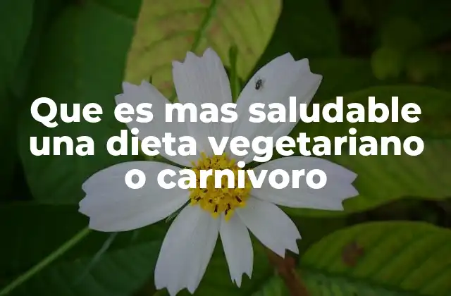 Que es mas Saludable una Dieta Vegetariano o Carnivoro