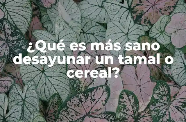 ¿qué es Más Sano Desayunar un Tamal o Cereal?