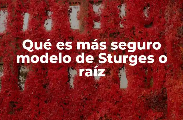 Qué es Más Seguro Modelo de Sturges o Raíz
