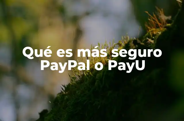 Qué es Más Seguro Paypal o Payu