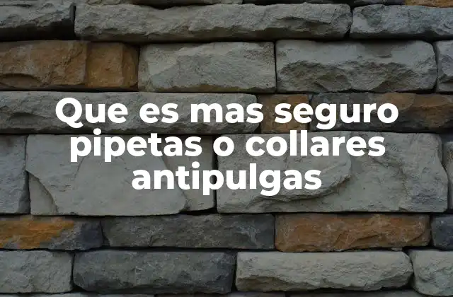 Que es mas Seguro Pipetas o Collares Antipulgas