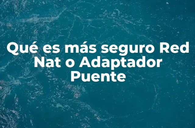 Qué es Más Seguro Red Nat o Adaptador Puente