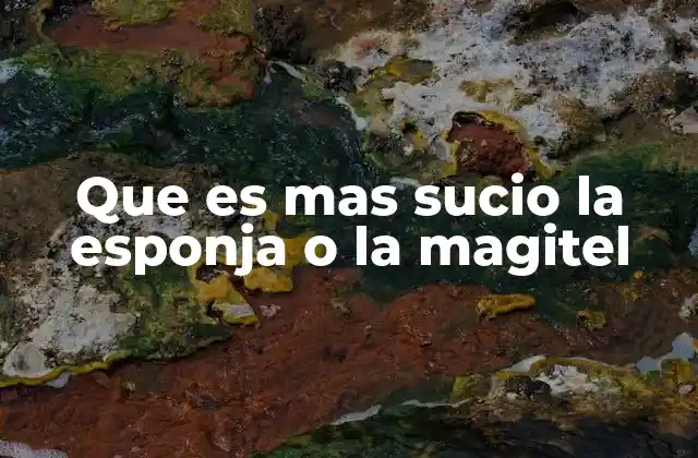 Que es mas Sucio la Esponja o la Magitel 2 Comparando la limpieza de ambos utensilios