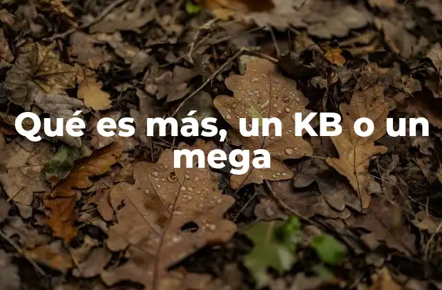 Qué es Más, un Kb o un Mega