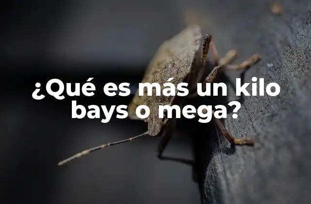 ¿qué es Más un Kilo Bays o Mega?