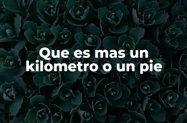 Que es mas un Kilometro o un Pie