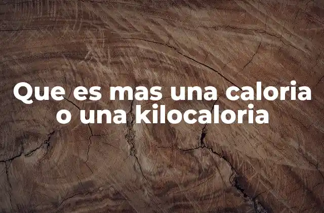 Que es mas una Caloria o una Kilocaloria